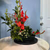 Tall red gladiolus spikes create an immediate sense of celebration in this
