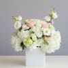 Send the Garden Whisper Arrangement
Send a breath of elegance with our Garden
