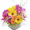 Brighten beautiful in a chic Clear cube Roses lilies Gerber daisies