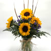 Bask in the warmth of sunny sunflowers, the focal point of this