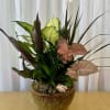 A beautiful mix of lush green plants artfully arranged in a decorative