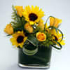 Sunflowers and yellow roses in a square glass vase