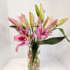 Pink and green lilies arranged in a clear glass vase