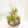 Succulent arrangement in a ribbed silver bowl with tall grass-like stems