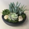 Succulent arrangement in a black bowl with moss and stones