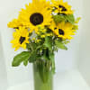 Bouquet of yellow sunflowers in a glass vase