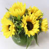 Bouquet of yellow sunflowers in a green vase