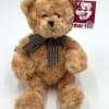 This adorable  plush teddy bear is the perfect snuggle companion with