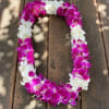Saturated magenta and bright white orchid blooms are strung together into a