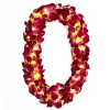 USC Double Orchid Lei 