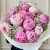 Bouquet of pink peonies wrapped in white paper