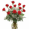  Pet Friendly?
Yes. Roses are considered non-toxic to cats and dogs per