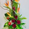 Tropical arrangement with red roses and bird of paradise flowers