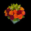 Fiery Romance features a rich cluster of orange and deep red roses