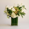 This modern arrangement features an elegant collection of green cymbidium orchids, white