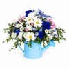 Bright, cheerful, and full of charm, the Blue Butterfly Bloom features stunning