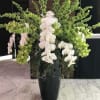 Arrangement designed to inspire happy memories of times gone by. Handcrafted 