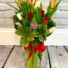  Pet Friendly?
No. - Tulips are toxic to cats and dogs. 
Keep