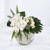 Experience the serene beauty of Ethereal Oasis, a modern and sophisticated arrangement