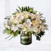 Graceful and refined, the Sanctuary Elegance is a modern tribute that radiates