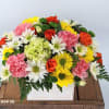 Mixed bouquet in a white rectangular box with roses, daisies, carnations, and chrysanthemums