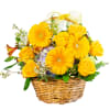 Sunshine on a cloudy day? No problem. Basket Full of Sunshine will