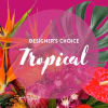 Tropical floral arrangement with bird of paradise and orchids