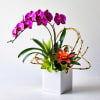 Purple orchid arrangement with succulents in a white square vase
