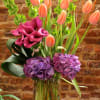Tall vase arrangement with peach tulips, purple hydrangeas, and magenta calla lilies