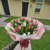 Forty-five assorted tulips.