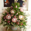 King of kings is the ultimate Proteus and tropical arrangement perfect for