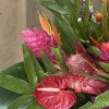 Mixed tropical bouquet with cottage blooms, and exotic foliage 