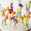 A Nice mix of your choice of color palette this package includes