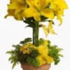 Sunlit yellow lilies tower above a compact mound of yellow roses in