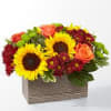 Delight your friends and family with an assortment of bright Autumn colors