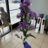 Single stem of montecasino aster
