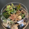 Succulent arrangement in a round glass bowl with moss and stones