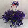 Celebrate Memorial Day in style with one of our stunning Lobelia Hanging