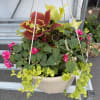 Many hanging baskets to choose from.  Please call with specific requests.
