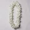 A delicate all-white floral lei designed to convey honor and celebration-the perfect
