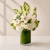 Elevate any space with our Angelique Arrangement, a timeless blend of elegant