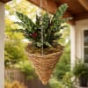 A bold, textural hanging plant that brings tropical energy to any porch