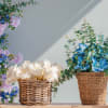 Petals &amp; Blooms Flower baskets are beautiful, designer original custom made arrangements