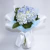 Blue and white hydrangea bouquet wrapped in white paper with a ribbon
