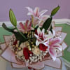 Large pink-and-white lilies soar above a tight cluster of red and cream
