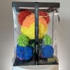 Rainbow teddy bear made of roses in a clear gift box