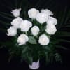 When less is more, order these elegant premium medium length roses and