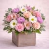  Description: A soft and elegant arrangement featuring delicate pink carnations, creamy