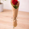 The Surprise Rose 

A timeless single rose beautifully wrapped in elegant kraft