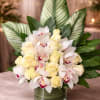 A sophisticated luxury arrangement featuring premium white cymbidium orchids, soft ivory roses